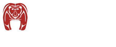 OR.SI, organizzazione per la sicurezza